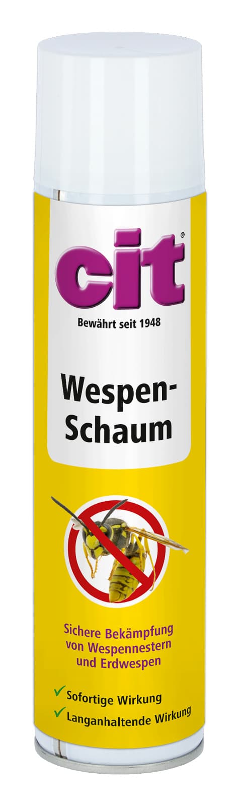CIT Wespenschaum
